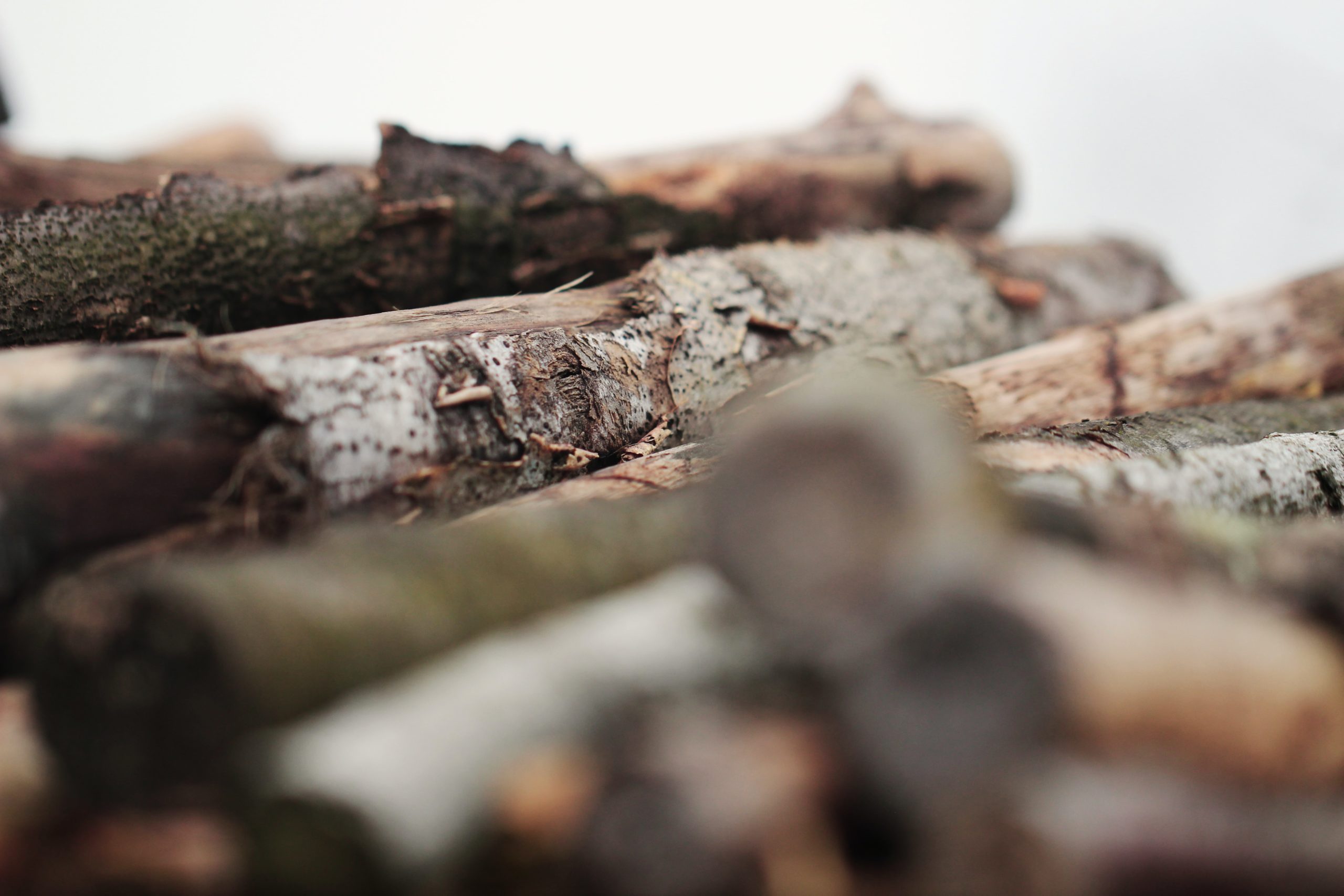 Close up of timber stack logs.